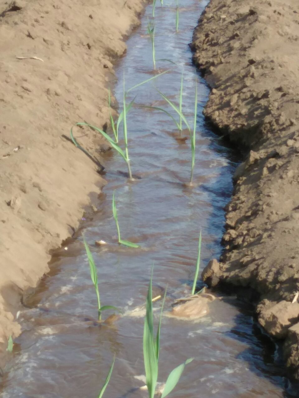 Image of Sales, Marketing of Drip Irrigation components, servicing customers